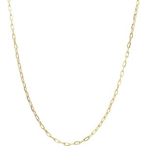 Stalen goldplated ketting closed forever 2mm