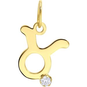 9 Karaat hanger sterrenbeeld met zirkonia