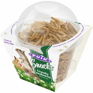 Puik Snacks Crunchy Meelwormen 40 gr