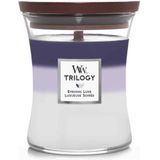 WoodWick Trilogy Evening Luxe Medium Candle