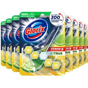 9x Glorix Toiletblok Power 5 Lemon
