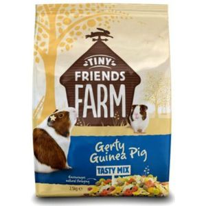 4x Tiny Friends Farm Guinea Pig 2,5 kg