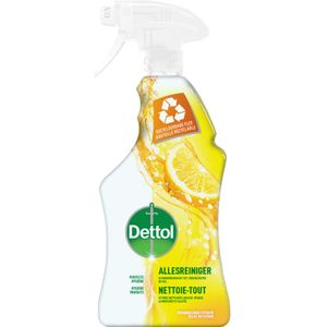 6x Dettol Power & Fresh Spray Citroen & Limoen Allesreiniger 500 ml