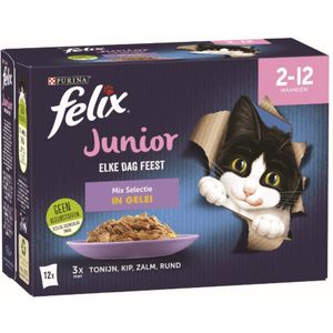 4x Felix Elke Dag Feest Mix Selectie in Gelei Junior 12 x 85 gr