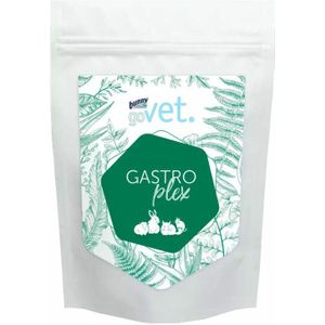 Bunny Nature GoVet Gastroplex 325 gr