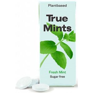 6x True Gum Fresh Mint Sugarfree 13 gr