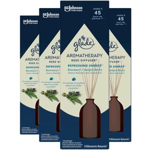 2+2 gratis: Glade Aromatherapy Geurstokjes Resfreshing Energy 80 ml