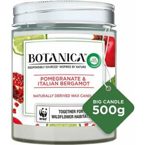 Air Wick Botanica by Air Wick Geurkaars Pomegranate & Italian Bergamot 500 gr