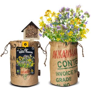 Baza Bio Wildbloemen Met Insectenhotel Geel