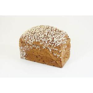 Healthy Bakers Protenia High Protein Brood 450 gr
