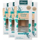 4x Kneipp Geurstokjes Goodbye Stress 50 ml