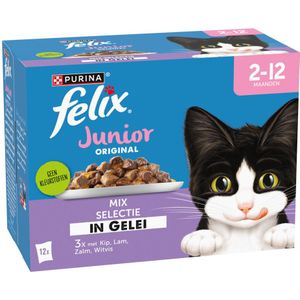 Felix Original Pouch in Gelei Junior Mix 12 stuks