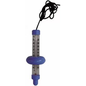 Talentools Zwembadthermometer Grijs/Blauw