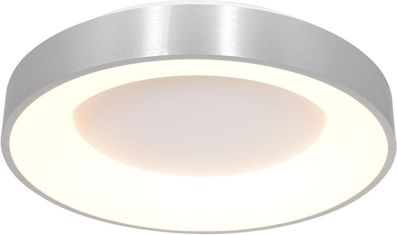 Plafondlamp Ringlede Zilver 48 cm