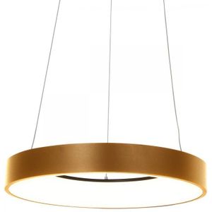 Hanglamp Ringlede goud 48cm