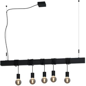 Hanglamp Townshend-B 5-lichts