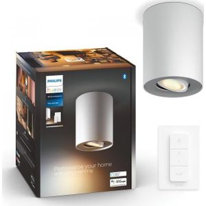 Philips Hue opbouwspot Pillar 1-lichts wit