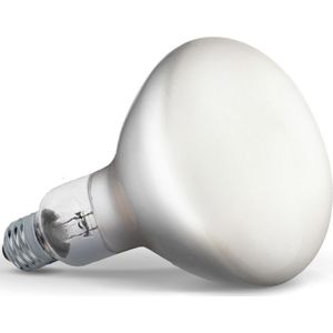 Flos - Lichtbron LED 13W (1300lm) 2700K Dimbaar E27