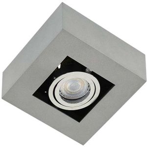 Arcchio - Vince 1 Plafondlamp Silver