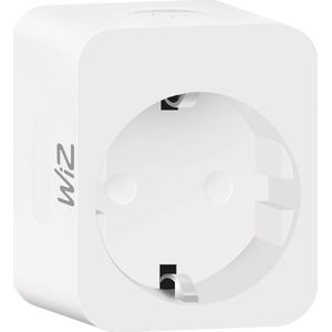 WiZ Slimme Stekker met verbruiksmeter