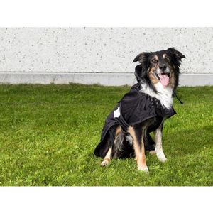 Back on Track Hunde Mesh Decke (74)