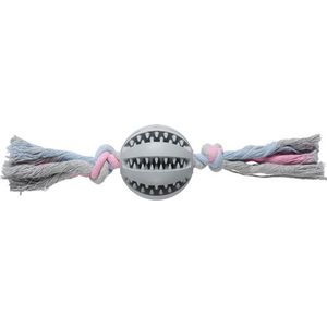 Companion Dental-Kauball mit Seil
