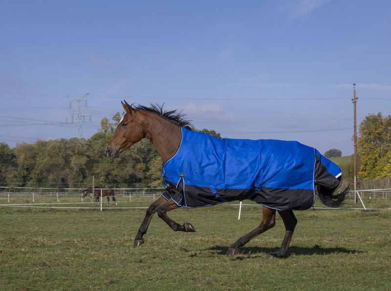 EQUITHEME TYREX 1200D Aisance High Neck Decke Blue/Black 50 g (4'9 - 95 cm)