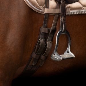 Imperial Riding Dressurgurt Core Braun (80)