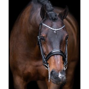 Imperial Riding Kandarenzaum Olympia Black-Silver (Pony)