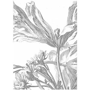 Gravierte Blumen Tapete