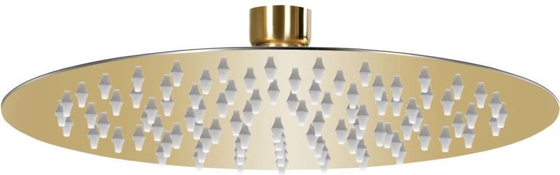 vidaXL Regendouchekop rond 20 cm roestvrij staal goudkleurig