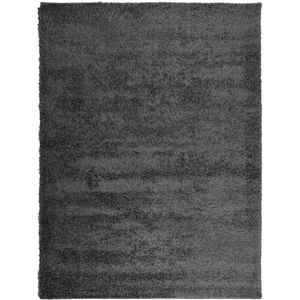 vidaXL-Vloerkleed-shaggy-hoogpolig-modern-300x400-cm-antraciet