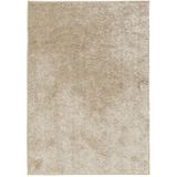 vidaXL-Vloerkleed-ISTAN-hoogpolig-glanzend-120x170-cm-beige