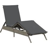 vidaXL Ligstoelen 2 st met kussens poly rattan grijs