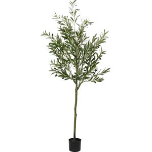 vidaXL Kunstolijfboom - 700 Blaadjes - 180 cm - Groen - PE Materialen