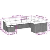 vidaXL 10-delige Loungeset met kussens poly rattan bruin