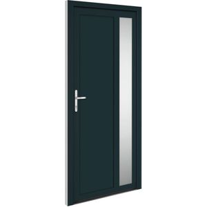 vidaXL Voordeur 98x208 cm PVC antracietkleurig