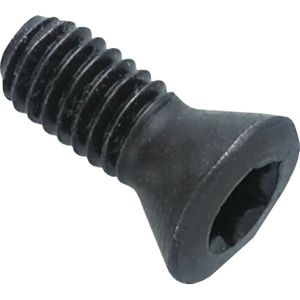 Phantom - Phantom wisselplaathouder torxschroef M4X0‚5X14‚1 T15 - 73.998.0092