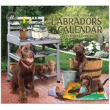 Labradors Kalender 2025