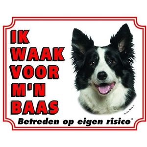Border Collie Waakbord - Ik waak voor mijn baas