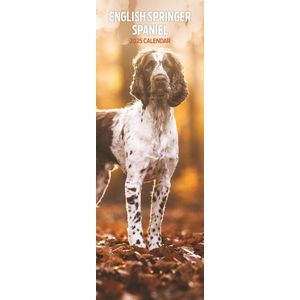 Engelse Springer Spaniel Kalender 2025  Slimline