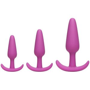 Naughty 1 - Butt Plug Trainer Set