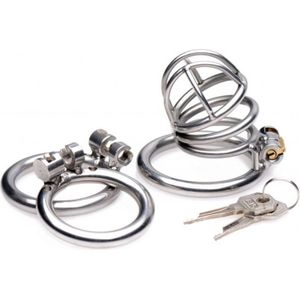 The Pen Deluxe Locking Chastity Cage - Silver