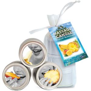 Tropical Trio - Candles in Mango, Pineapple, Banana - 2 oz