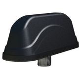 Panorama Antennas LO PRO GPS+MIMO 2/3/4G+WIFI  3m SP
