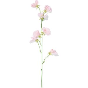 HEMA Kunstbloem Lathyrus Lichtroze (lichtroze)