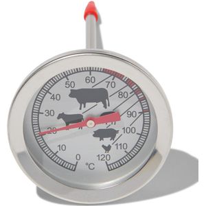 HEMA Vleesthermometer (zilvergrijs)