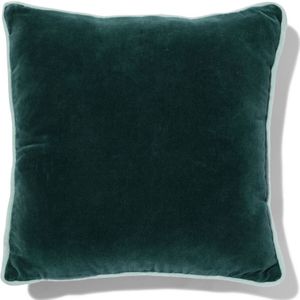 HEMA Woonkussen Met Hoes Velours Groen 40x40 (donkergroen)