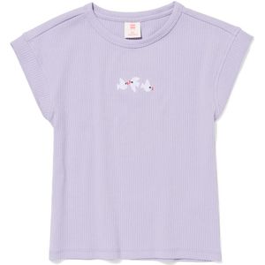 HEMA Kinder T-shirt Broderie Paars (paars)