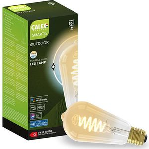 Calex Smart Outdoor lamp E27 | Edison ST64 | 1800K-6500K | 550 lumen | 7W